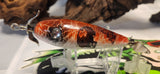 Handcrafted wooden lures-College football colors