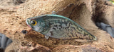 EZ'S LV 500 LIPLESS CRANKBAIT