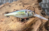 FLICKER SHAD