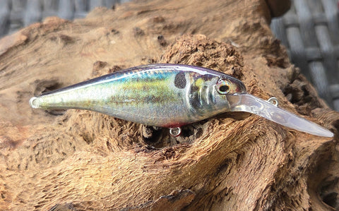 FLICKER SHAD