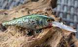 FLICKER SHAD