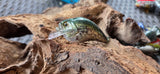 EZ'S 1.2 CRANKBAIT
