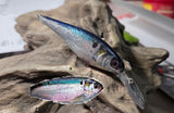 FLICKER SHAD