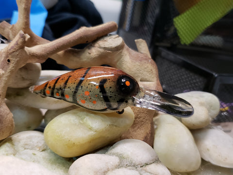 thumbnail image 2 of Ez's Lures Custom Hand-Painted Wiggle Wart Crankbait, 3/8 Oz, Crawfish Pattern, Old School 2 of 5