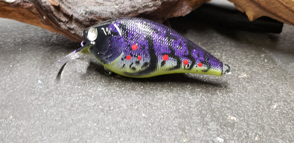 2.5 square bill painted