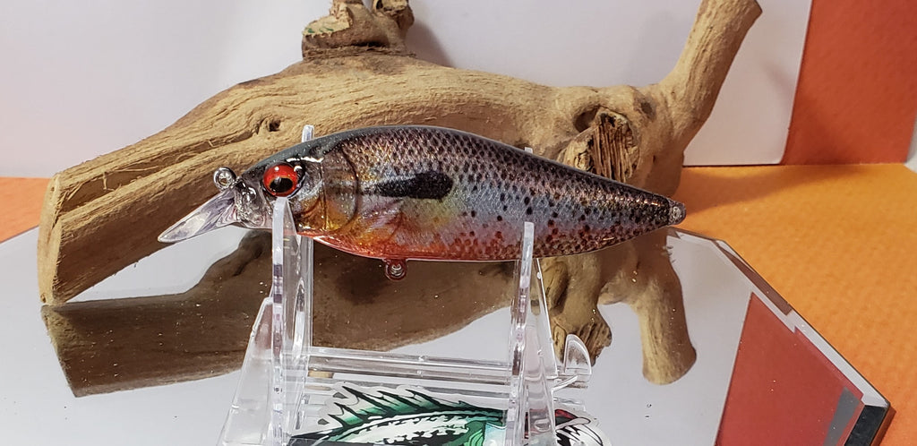 Flap slap shad shallow diver