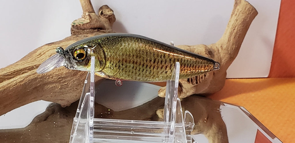 Flap slap shad shallow diver