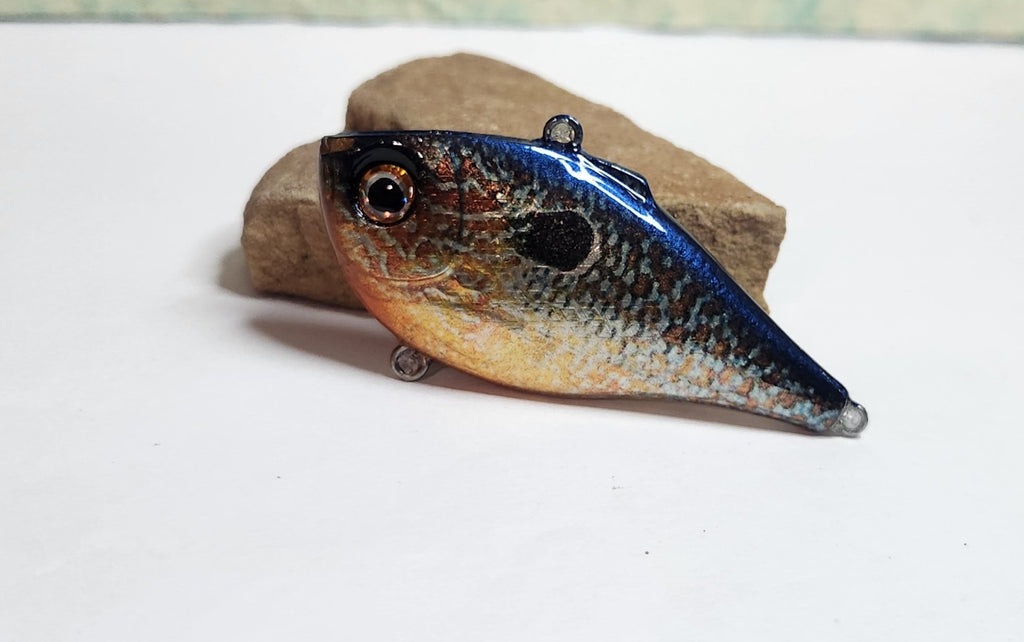 Ez's rippen rap lipless